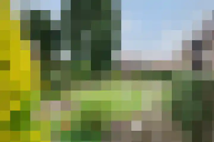 Burgemeester van de Loostraat 12 Berg en Terblijt thumbnail 43
