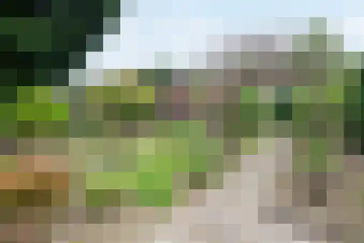 Burgemeester van de Loostraat 12 Berg en Terblijt thumbnail 44