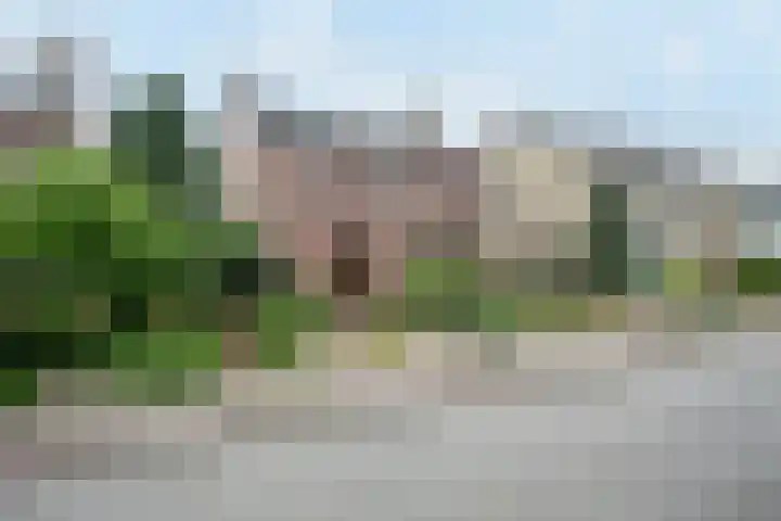 Burgemeester van de Loostraat 12 Berg en Terblijt thumbnail 49
