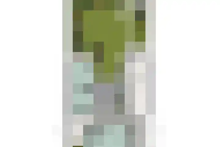 Burgemeester van de Loostraat 12 Berg en Terblijt thumbnail 55