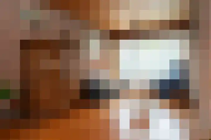 Burgemeester van de Loostraat 12 Berg en Terblijt thumbnail 7