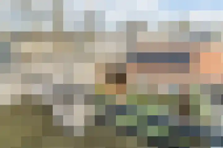 Burgemeester van de Mortelplein 120 Tilburg thumbnail 35