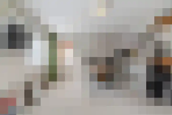 Burgemeester van de Mortelplein 120 Tilburg thumbnail 49