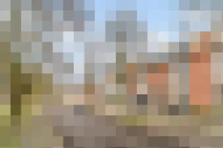Burgemeester van de Mortelplein 120 Tilburg thumbnail 56