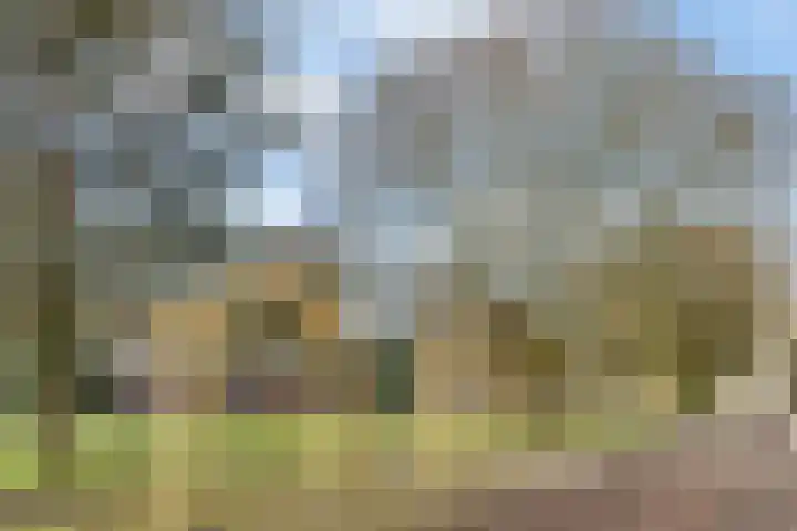 Burgemeester van de Mortelplein 120 Tilburg thumbnail 58