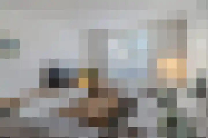 Burgemeester van de Mortelplein 120 Tilburg thumbnail 6