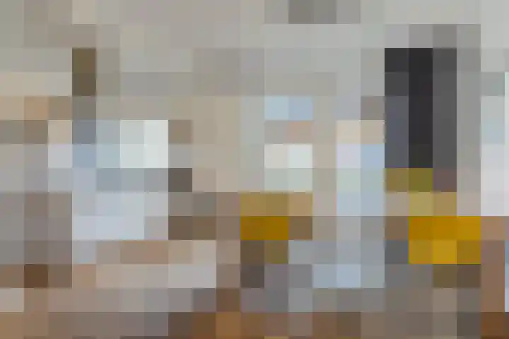 Burgemeester van de Mortelplein 120 Tilburg thumbnail 8
