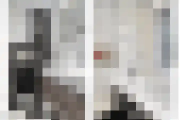 Burgemeester van de Mortelplein 124 Tilburg thumbnail 18