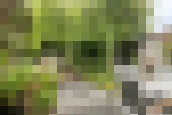 Burgemeester van de Mortelplein 124 Tilburg thumbnail 24
