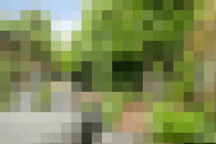 Burgemeester van de Mortelplein 124 Tilburg thumbnail 25