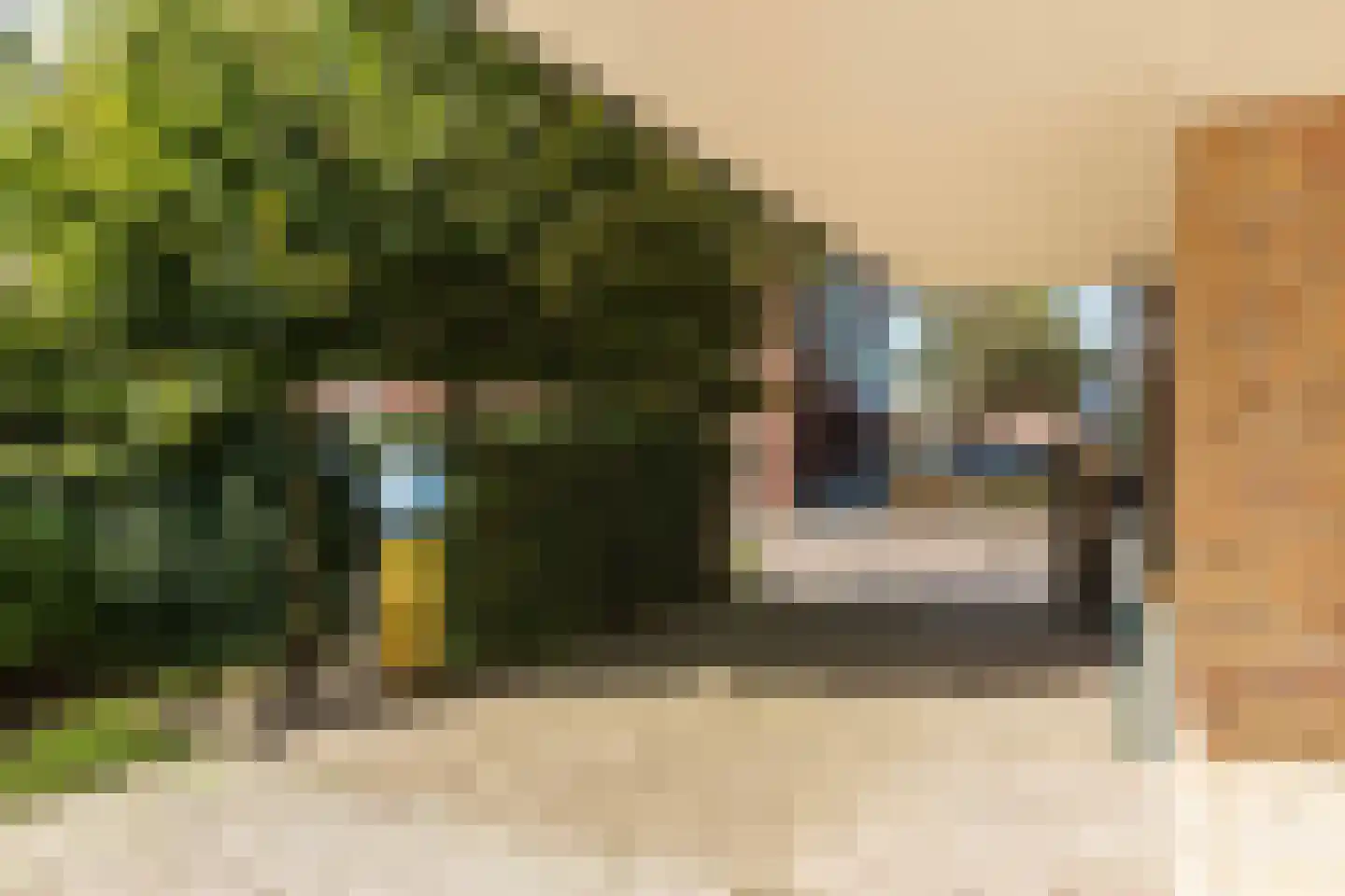 Burgemeester van de Mortelplein 24 Tilburg thumbnail 32