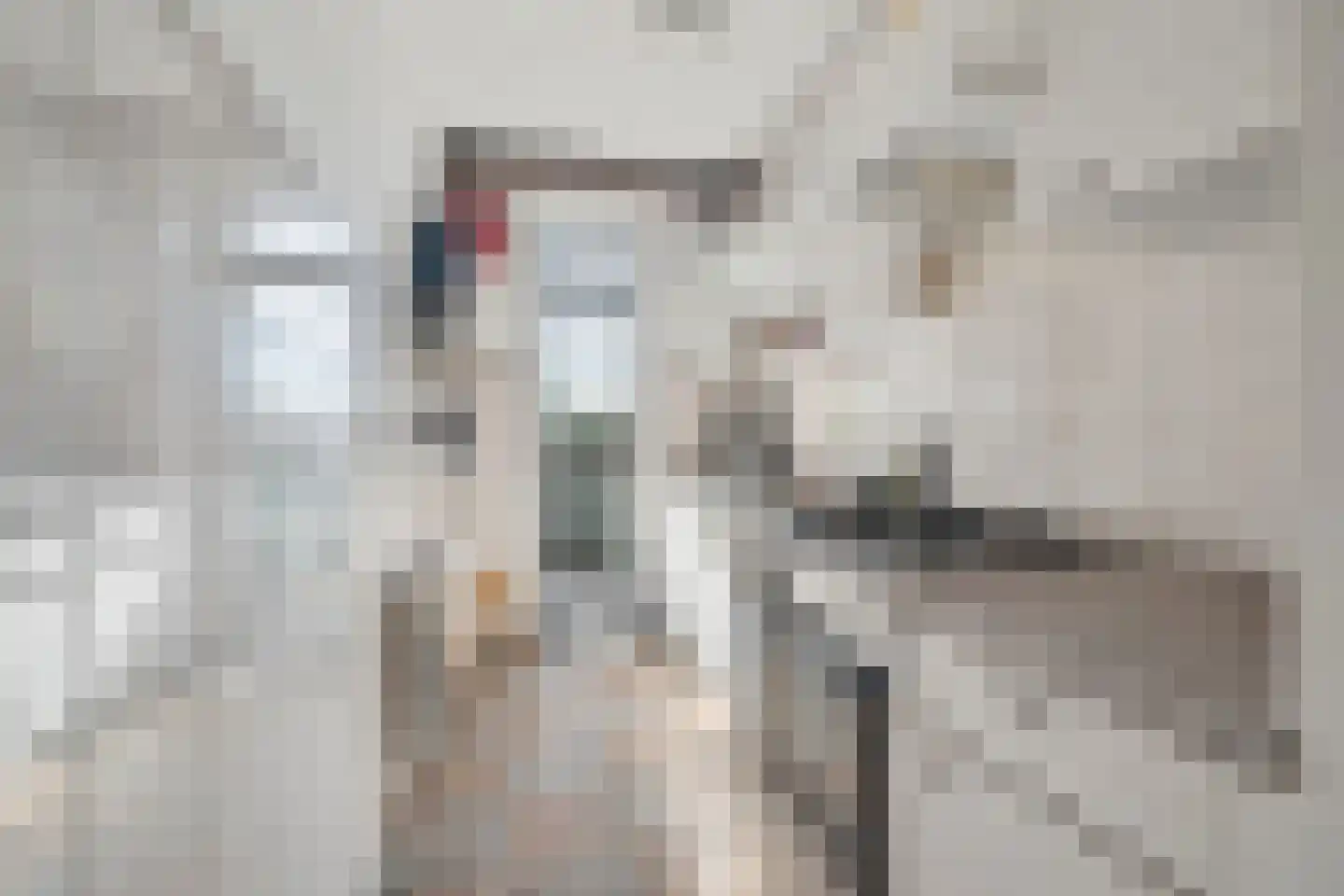 Burgemeester van de Mortelplein 3 Tilburg thumbnail 15