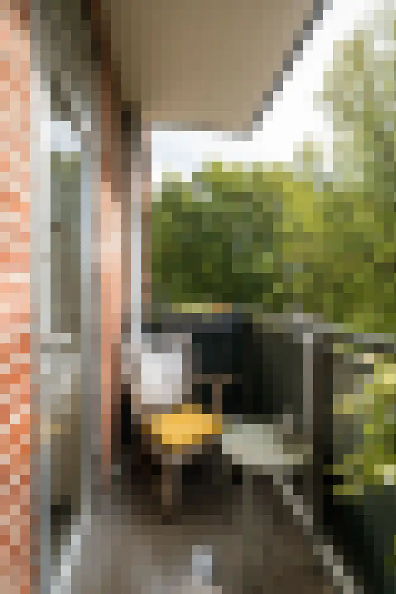 Burgemeester van de Mortelplein 3 Tilburg thumbnail 20