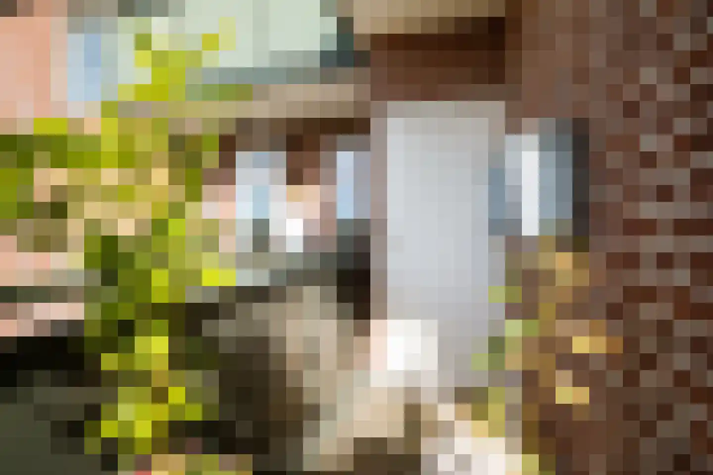 Burgemeester van de Mortelplein 3 Tilburg thumbnail 23