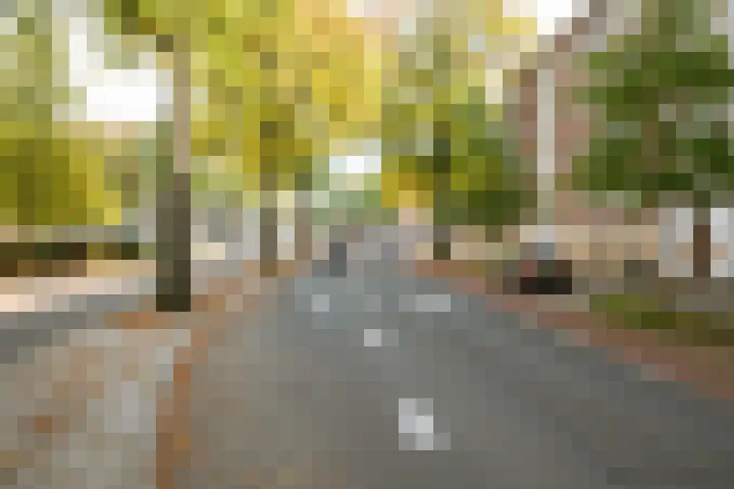 Burgemeester van de Mortelplein 3 Tilburg thumbnail 42
