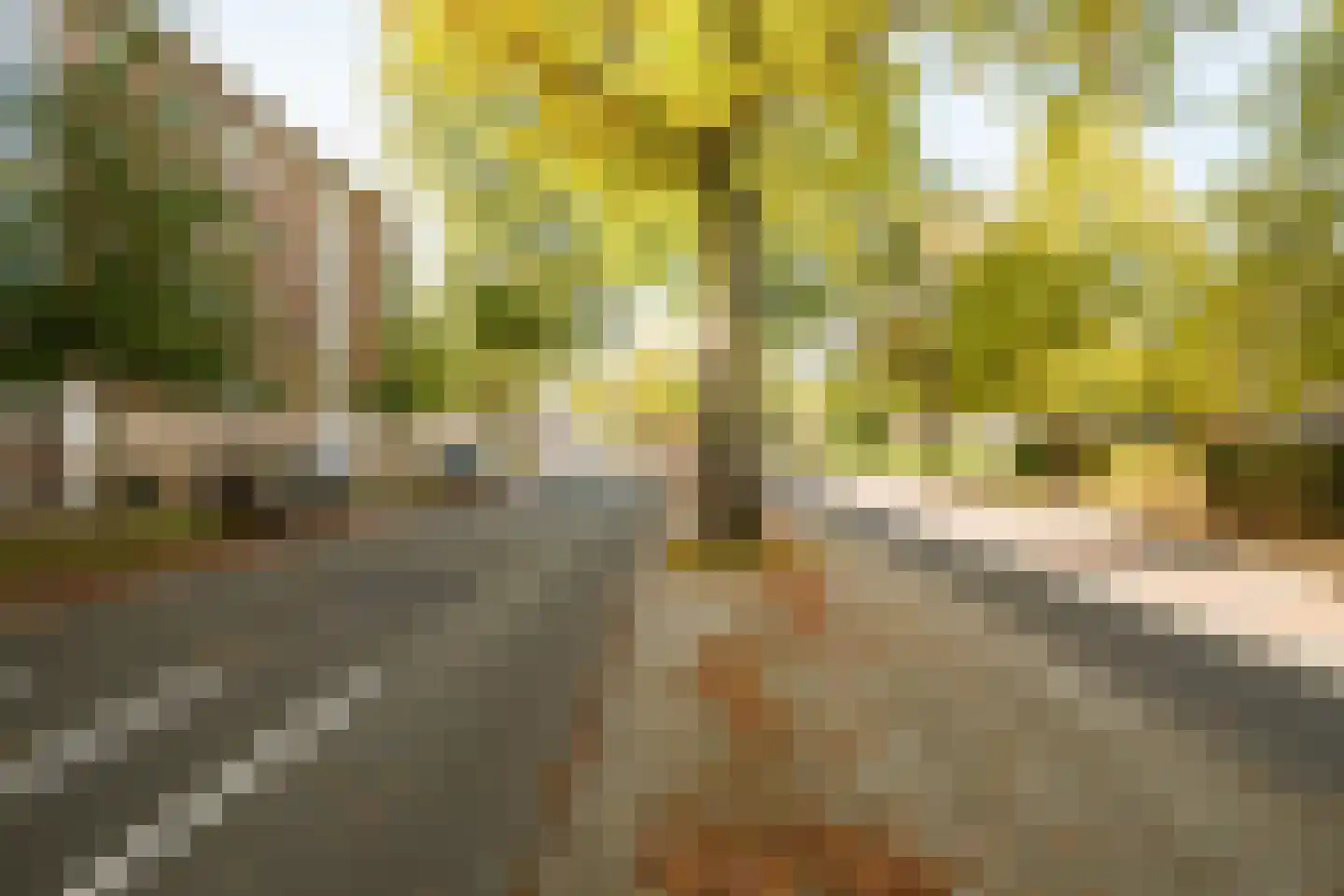 Burgemeester van de Mortelplein 3 Tilburg thumbnail 43