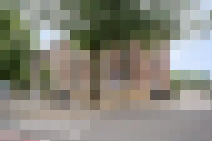 Burgemeester van de Mortelplein 5 Tilburg thumbnail 24