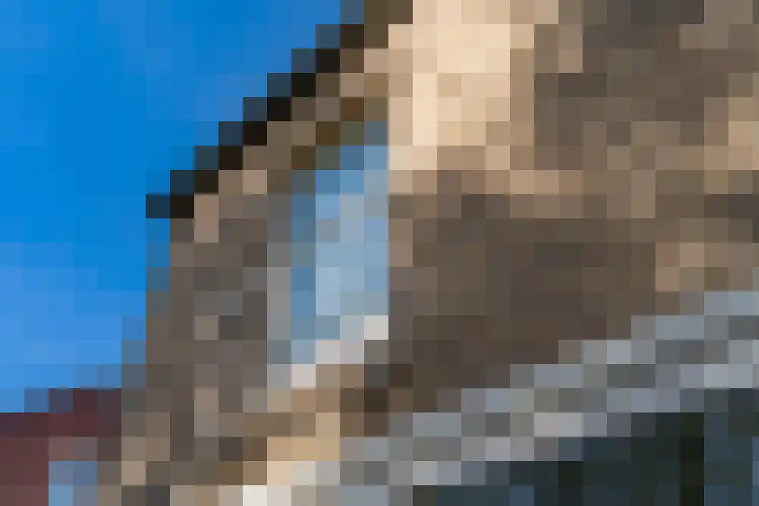 Burgemeester van de Mortelstraat 14 Tilburg thumbnail 8