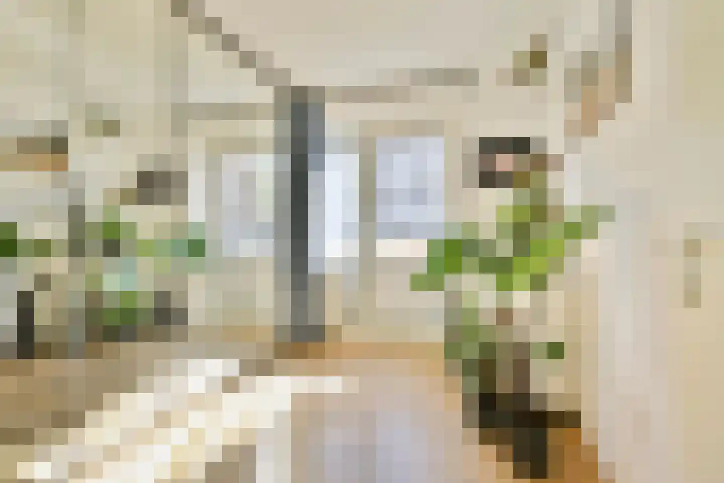 Burgemeester Van de Pollstraat 2 B Amsterdam thumbnail 11