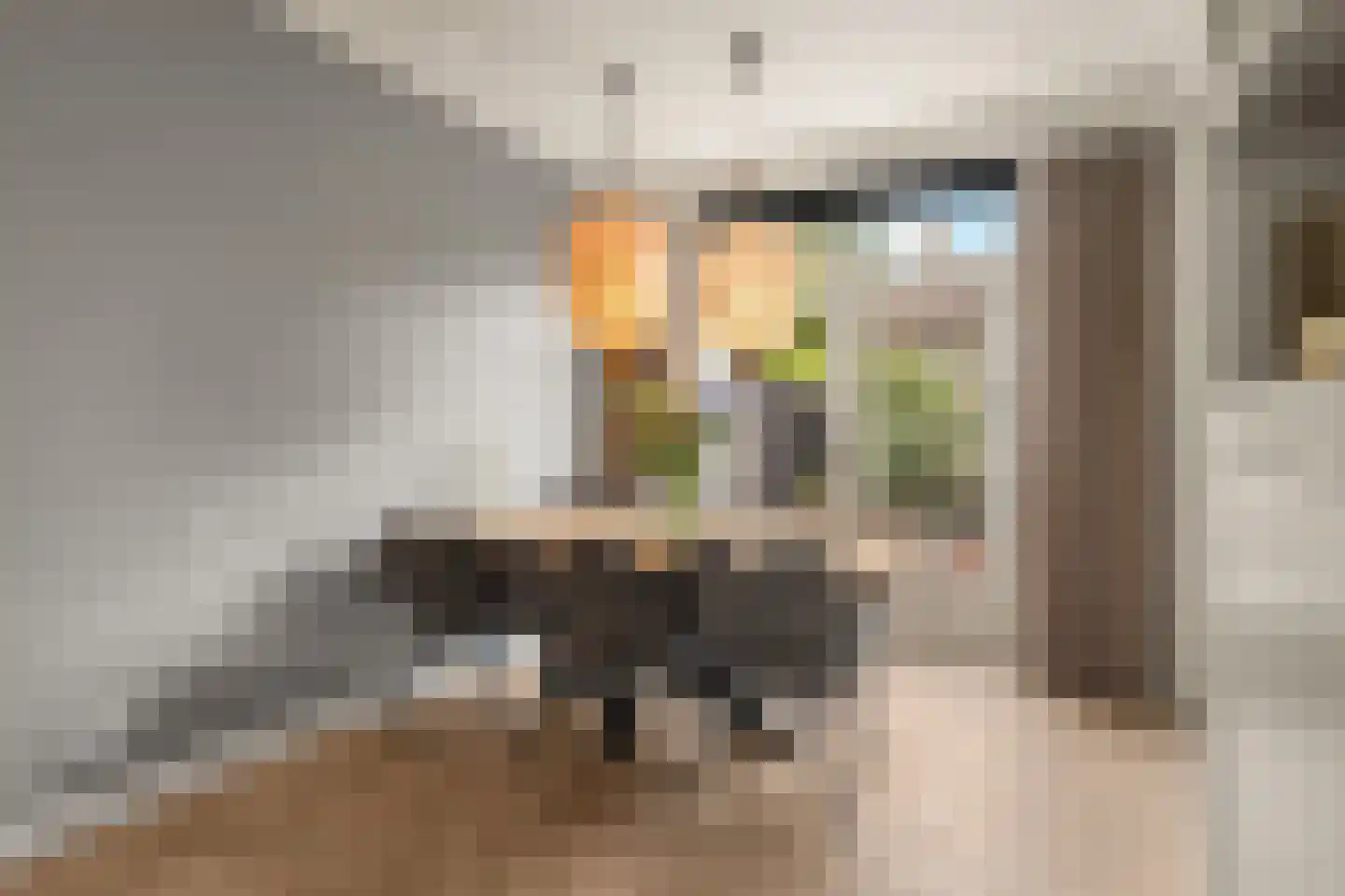 Burgemeester van de Stadtstraat 103 Zaandam thumbnail 8