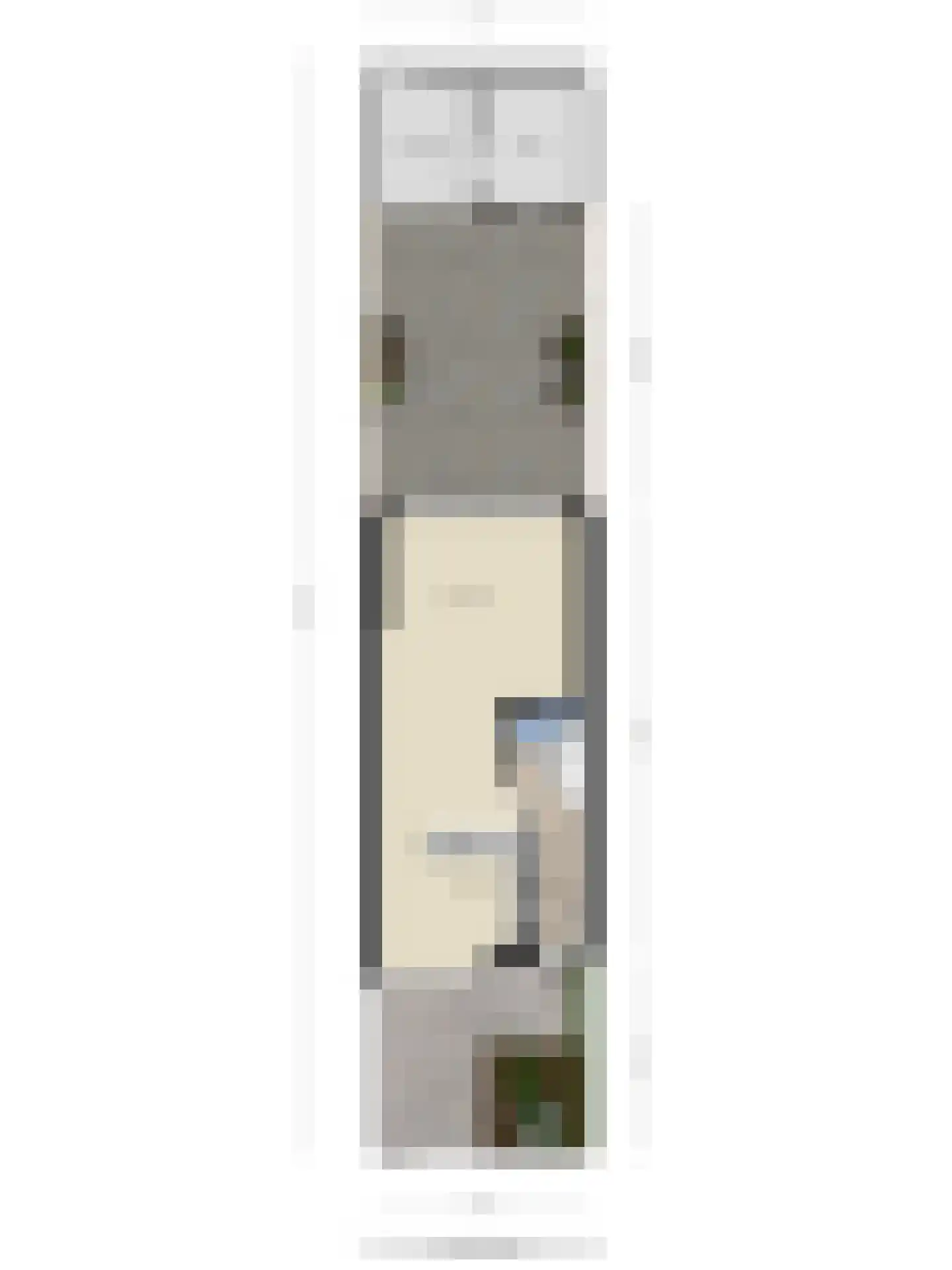 Burgemeester van de Stadtstraat 59 Zaandam thumbnail 51