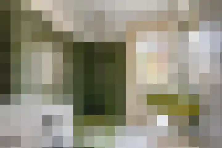 Burgemeester van de Stadtstraat 92 Zaandam thumbnail 23