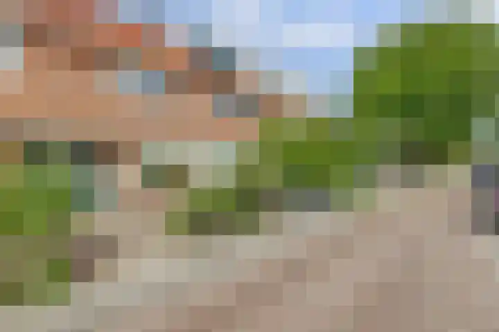 Burgemeester van de Stadtstraat 92 Zaandam thumbnail 6