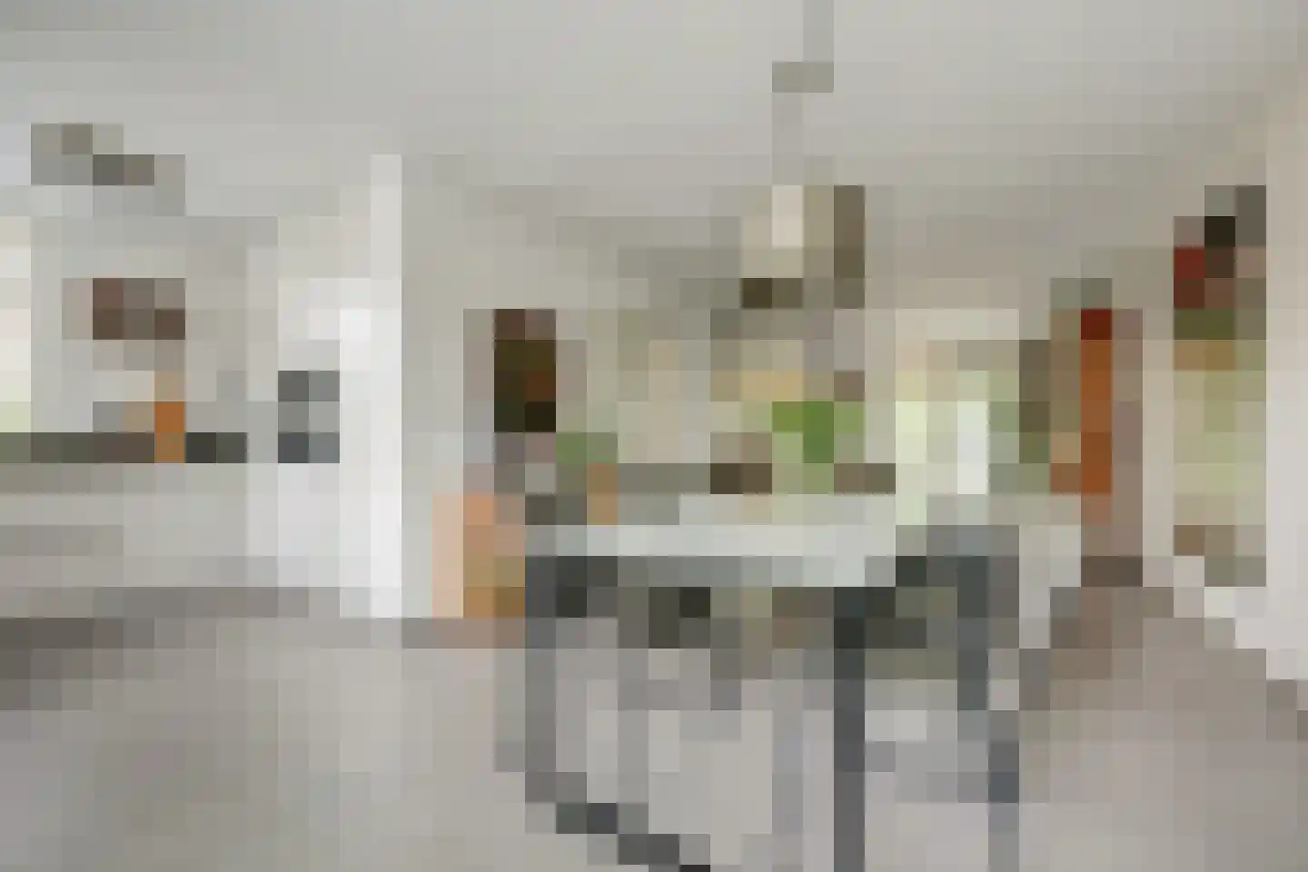 Burgemeester van de Wielstraat 31 Vlijmen thumbnail 13
