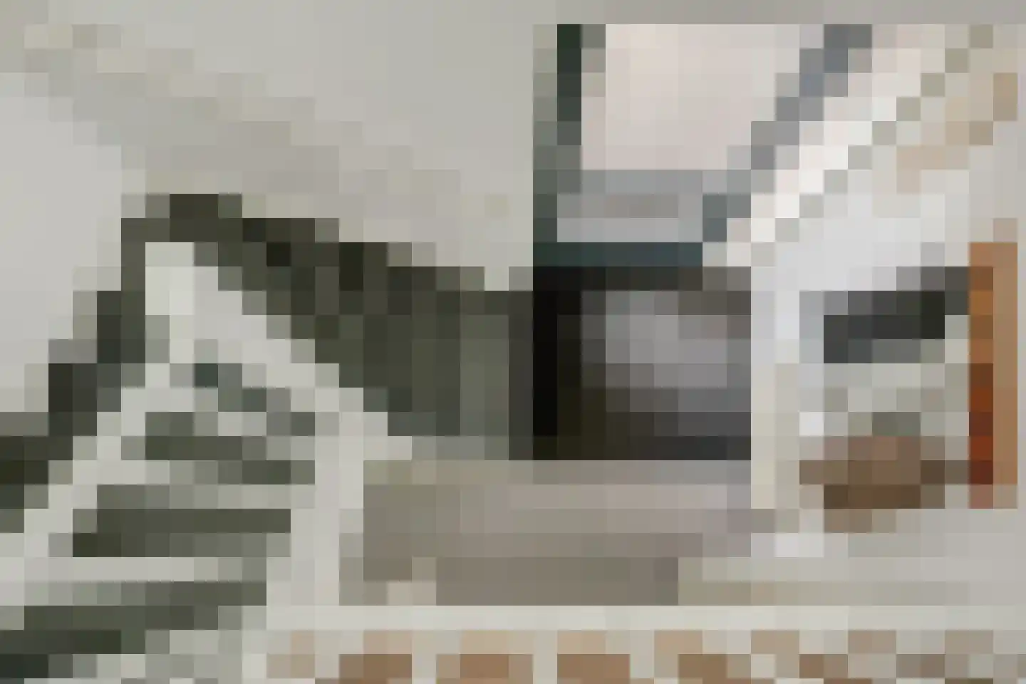 Burgemeester van de Wielstraat 31 Vlijmen thumbnail 31
