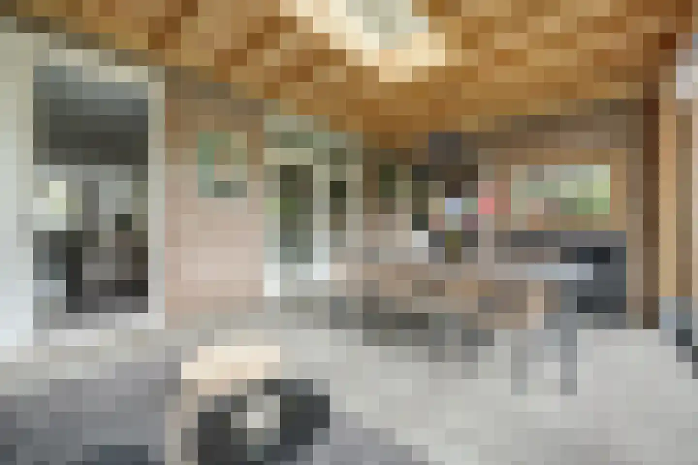 Burgemeester van de Wielstraat 31 Vlijmen thumbnail 41