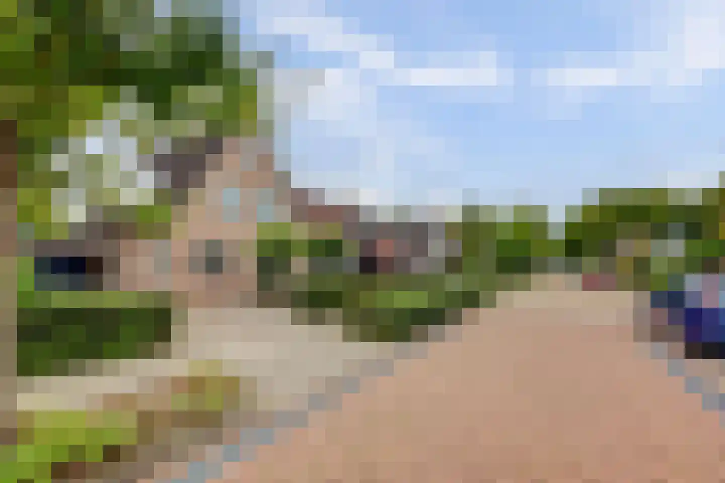 Burgemeester van de Wielstraat 31 Vlijmen thumbnail 53