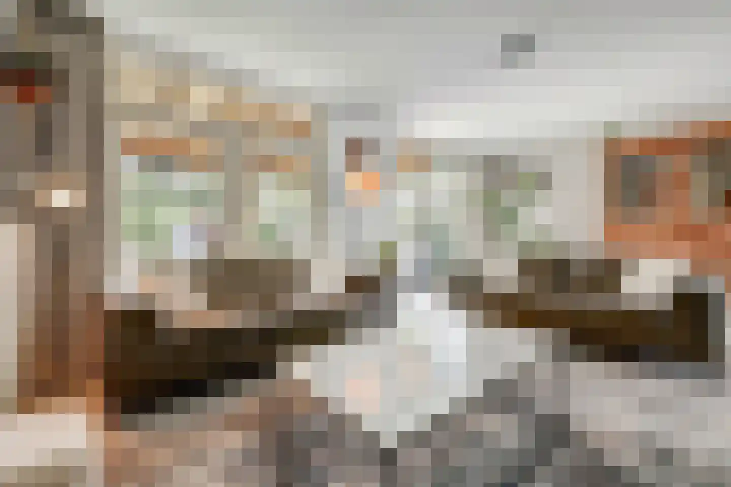 Burgemeester van de Wielstraat 31 Vlijmen thumbnail 7