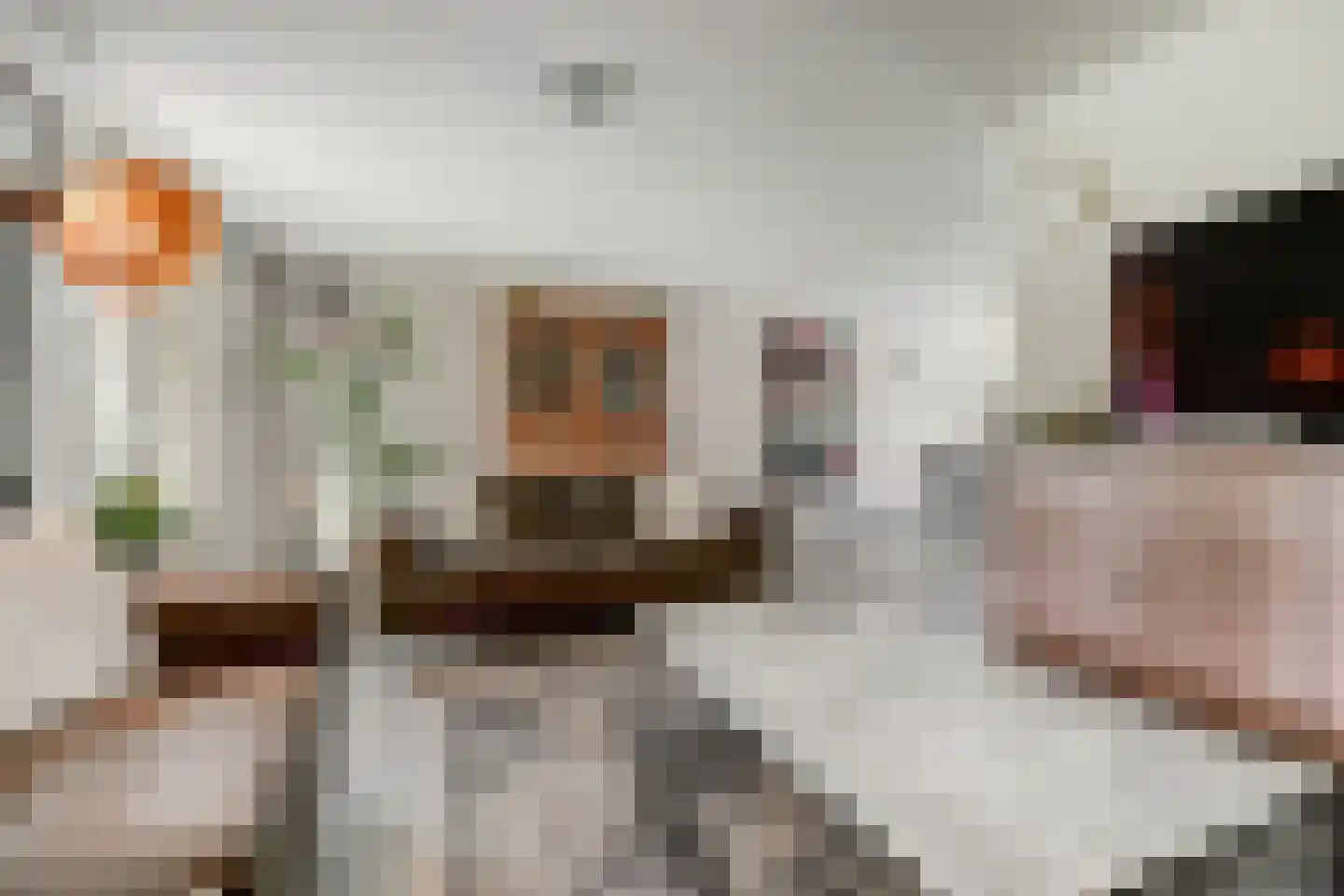 Burgemeester van de Wielstraat 31 Vlijmen thumbnail 8