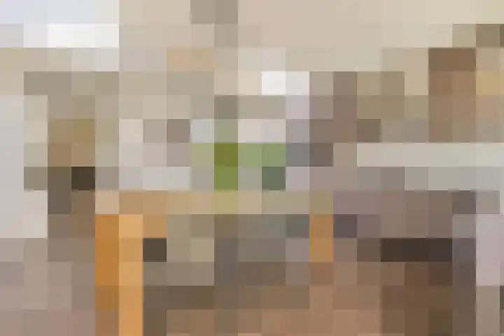Burgemeester van Deelensingel 115 Velden thumbnail 12