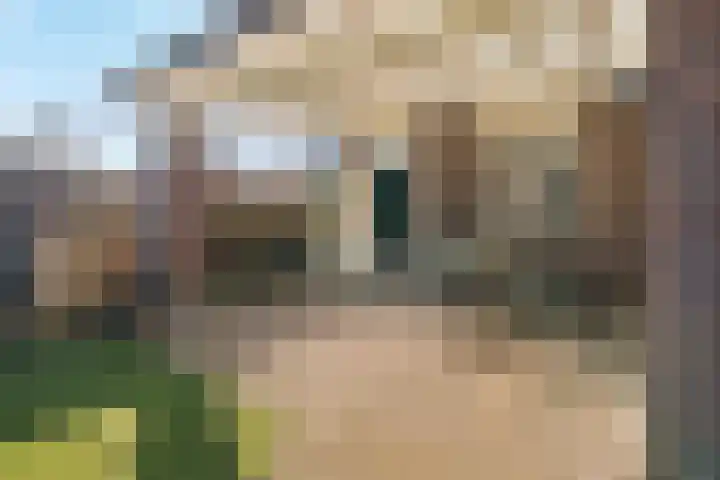 Burgemeester van Deelensingel 115 Velden thumbnail 26