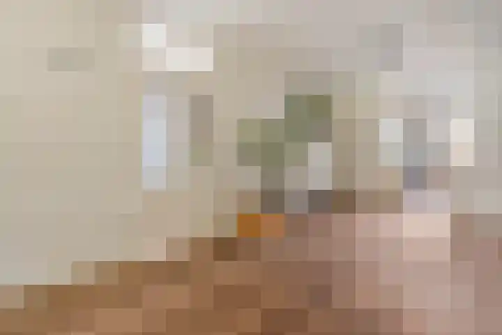 Burgemeester van Deelensingel 115 Velden thumbnail 8