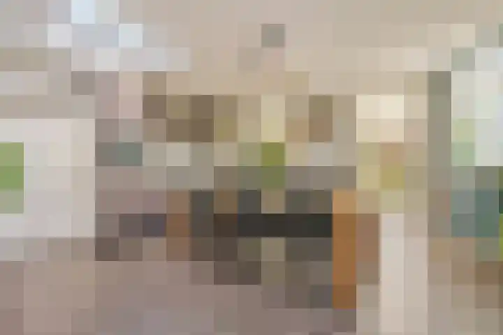 Burgemeester van Deelensingel 115 Velden thumbnail 9