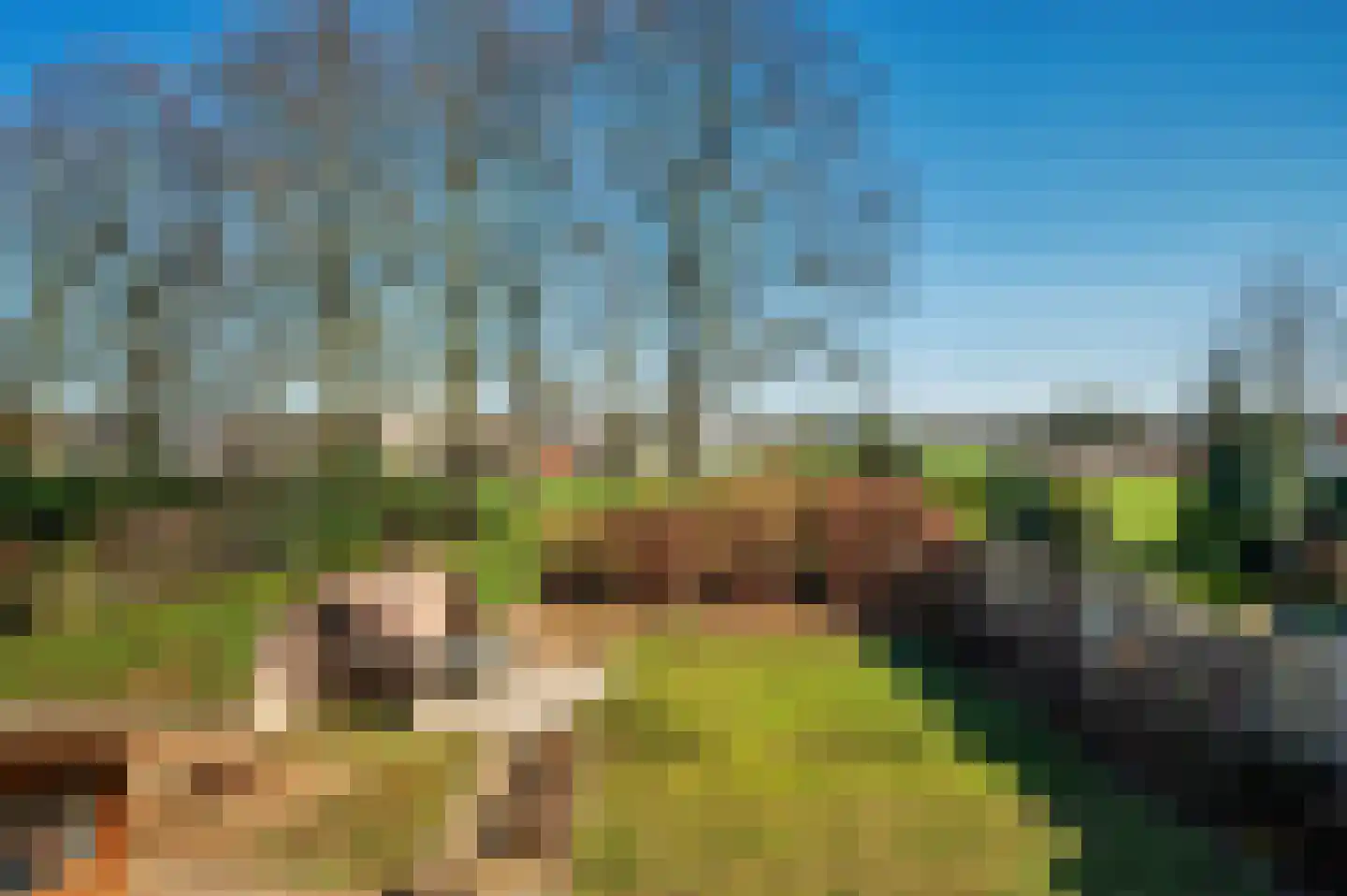 Burgemeester van Deelensingel 87 Velden thumbnail 31
