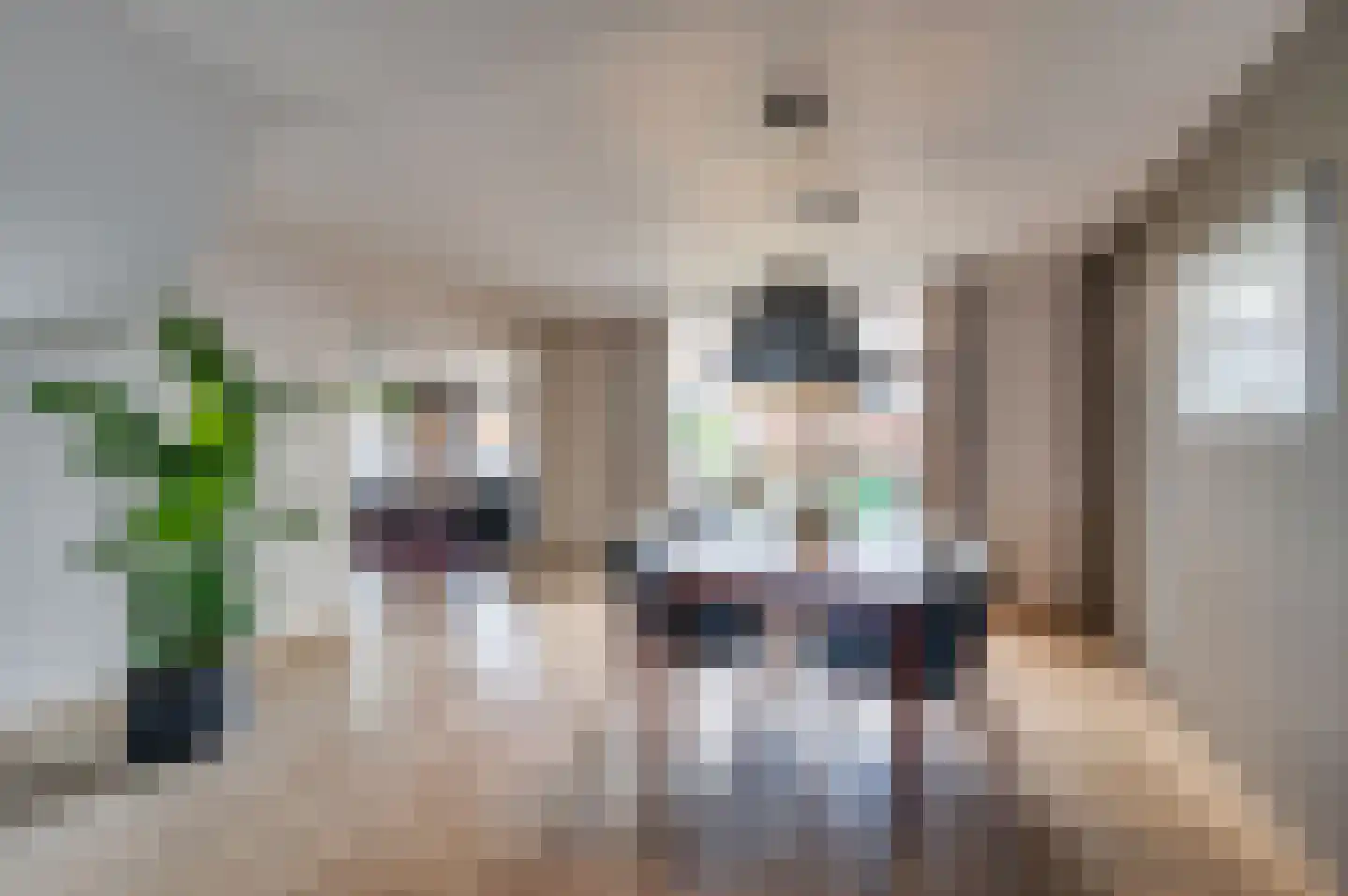 Burgemeester van Deelensingel 87 Velden thumbnail 4