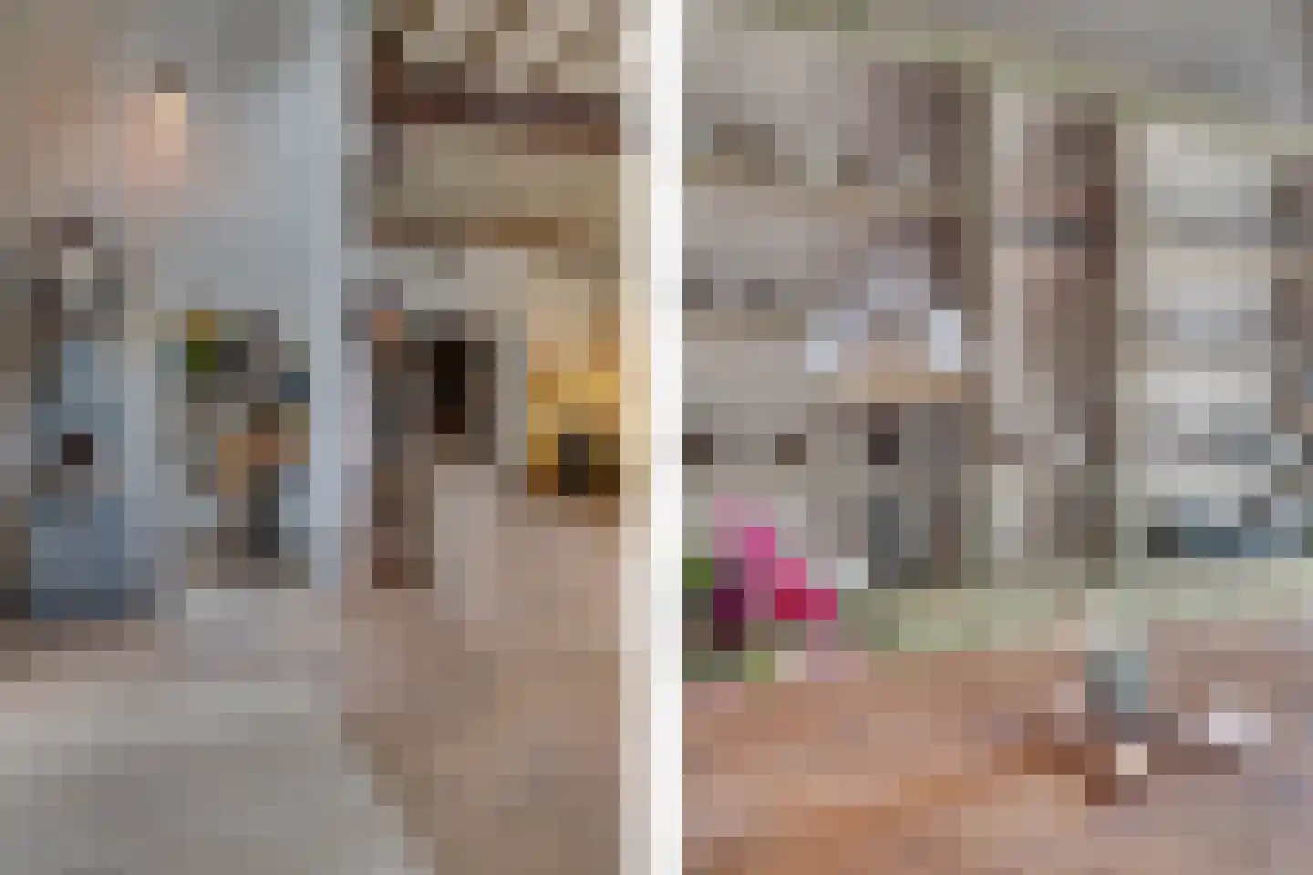 Burgemeester van den Boschstraat 3 Amerongen thumbnail 13