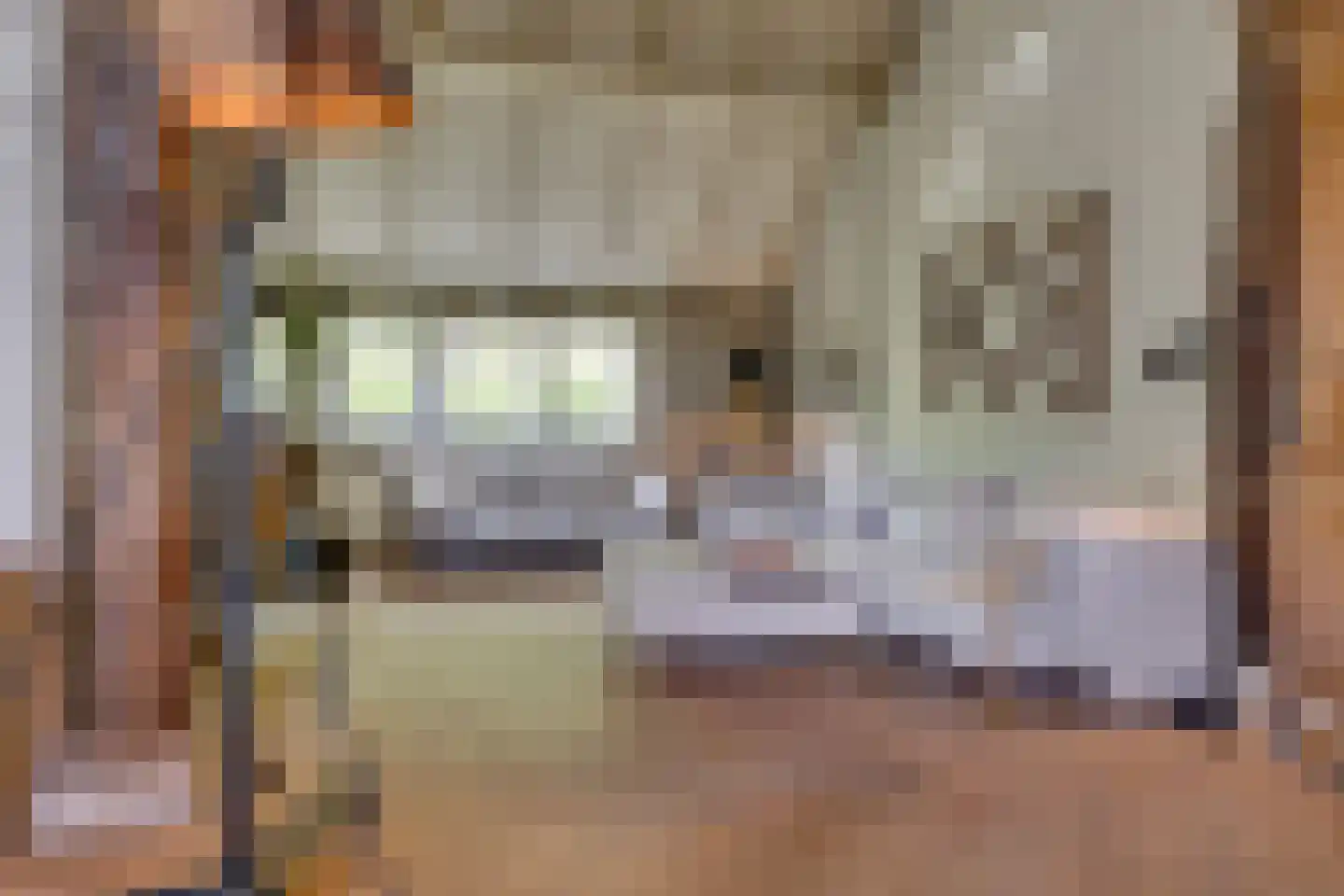 Burgemeester van den Boschstraat 3 Amerongen thumbnail 14