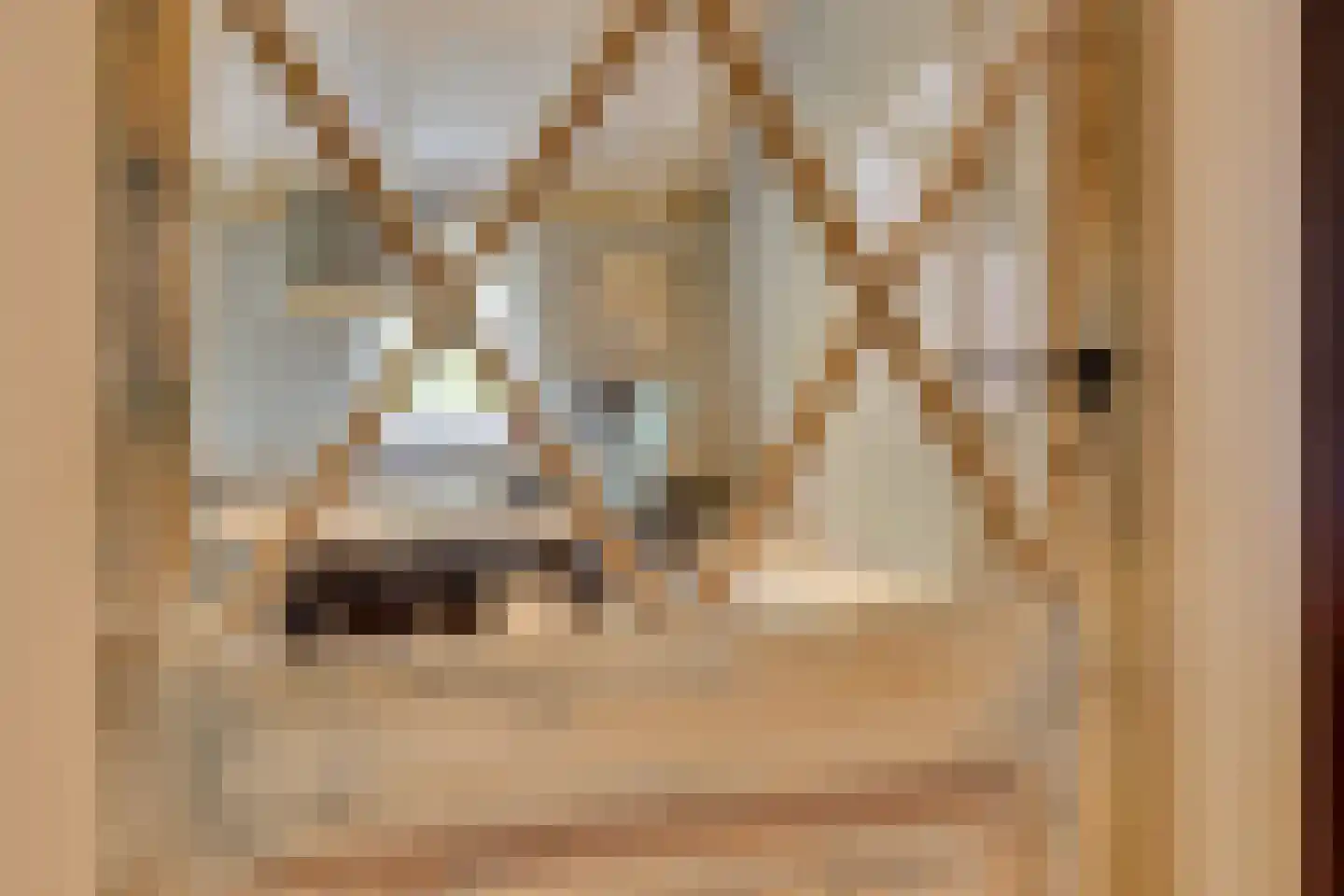 Burgemeester van den Boschstraat 3 Amerongen thumbnail 23