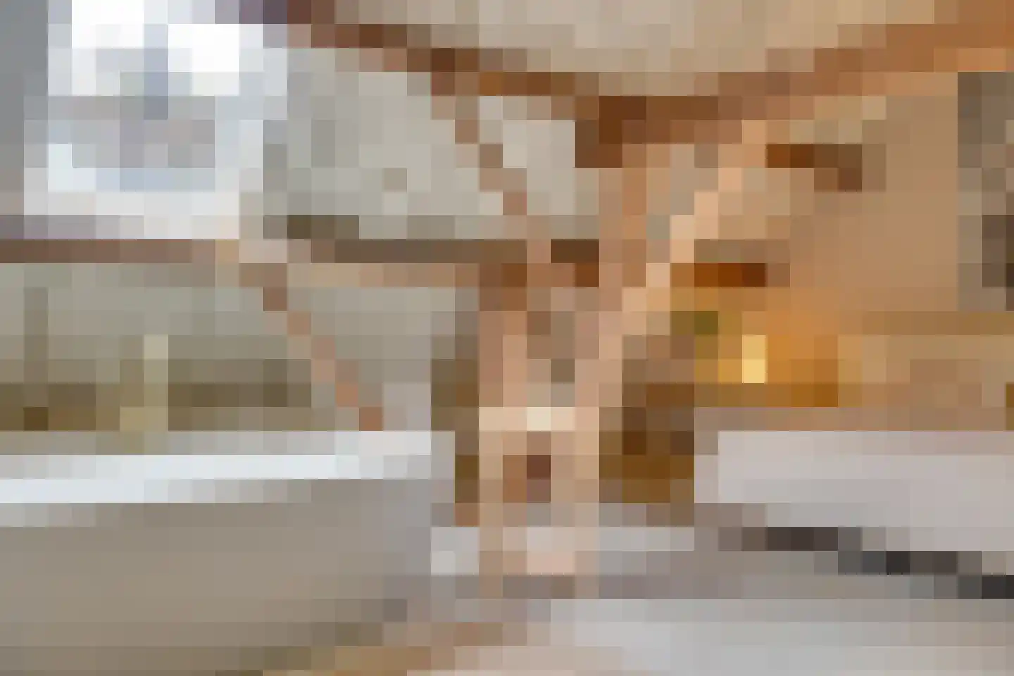 Burgemeester van den Boschstraat 3 Amerongen thumbnail 36