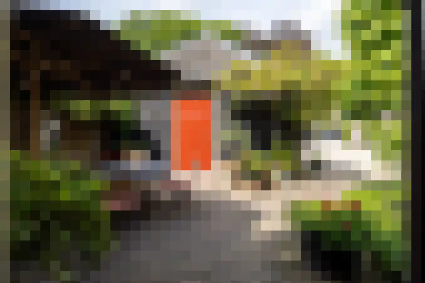 Burgemeester van den Boschstraat 3 Amerongen thumbnail 38