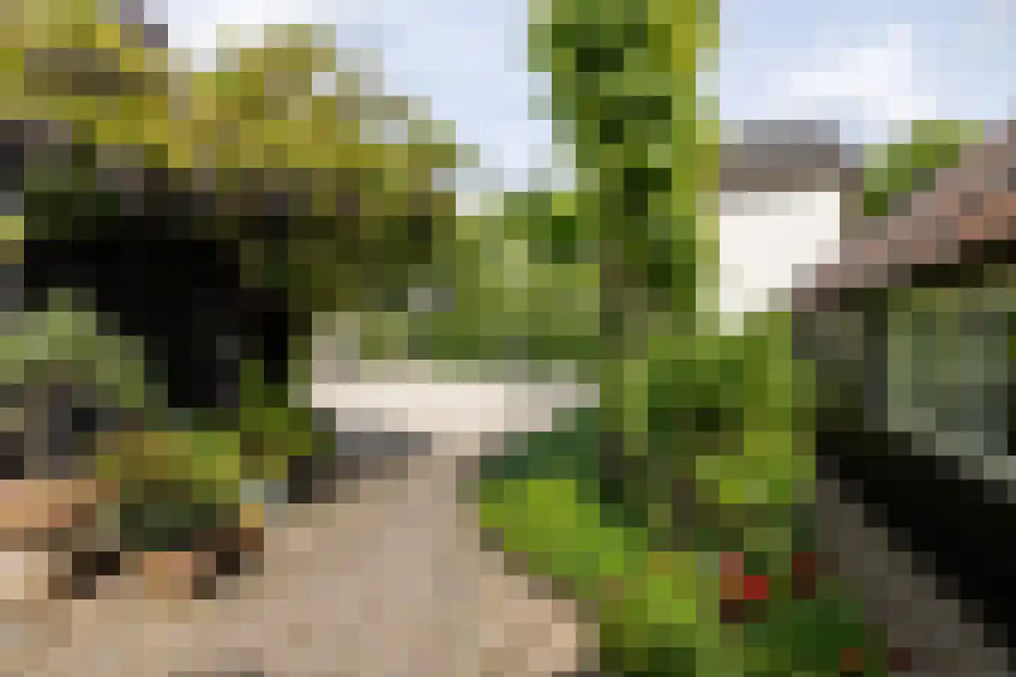 Burgemeester van den Boschstraat 3 Amerongen thumbnail 39