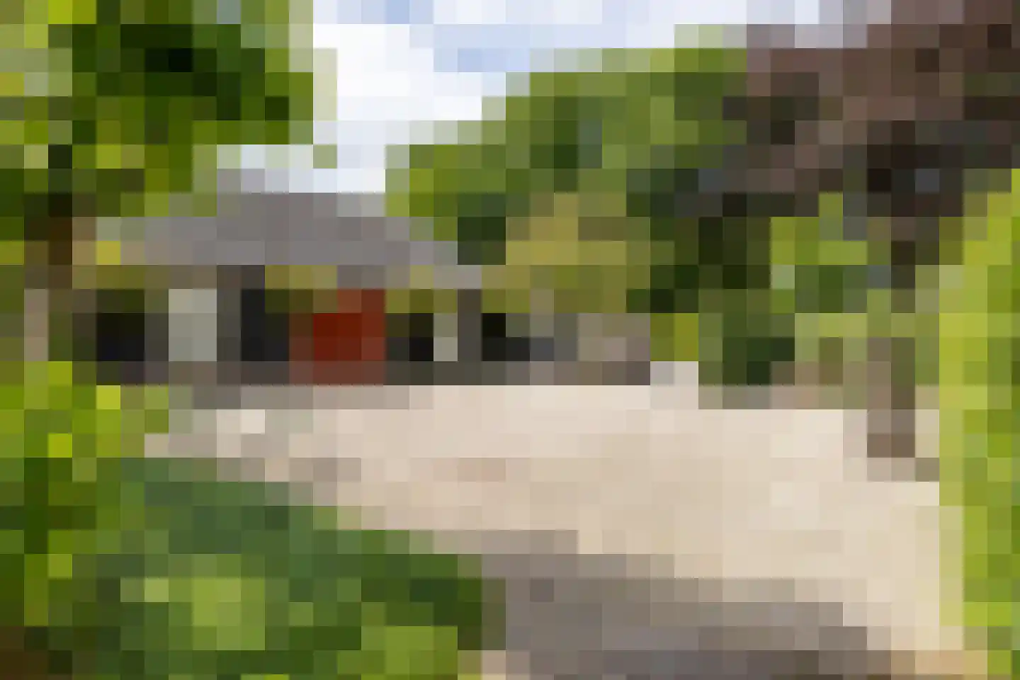 Burgemeester van den Boschstraat 3 Amerongen thumbnail 40