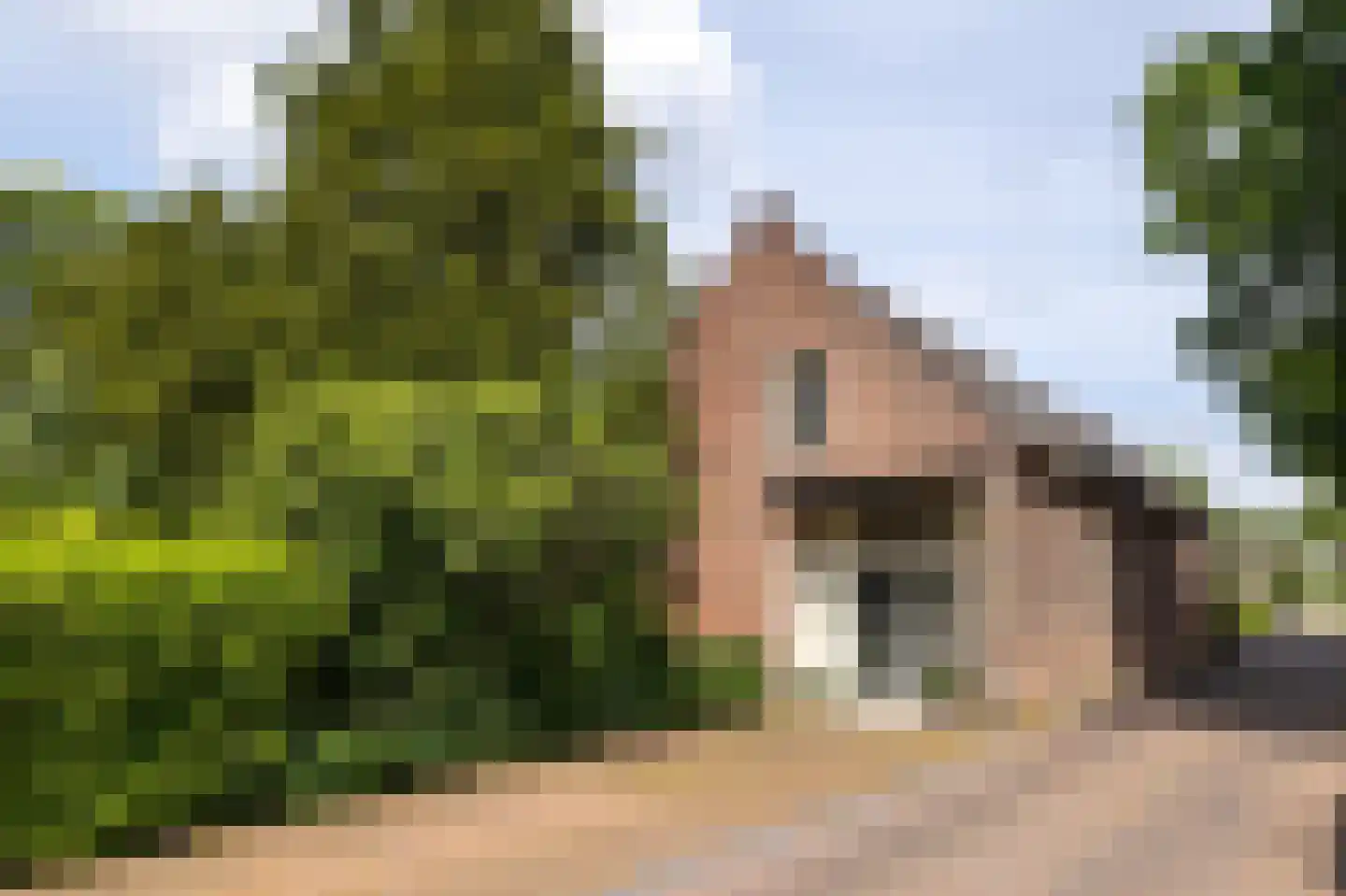 Burgemeester van den Boschstraat 3 Amerongen thumbnail 42