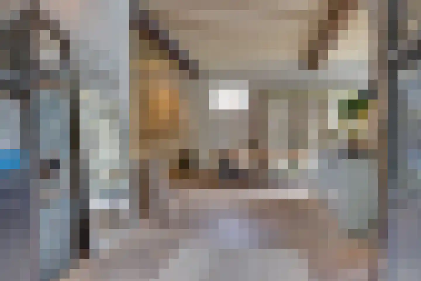 Burgemeester van den Boschstraat 3 Amerongen thumbnail 8