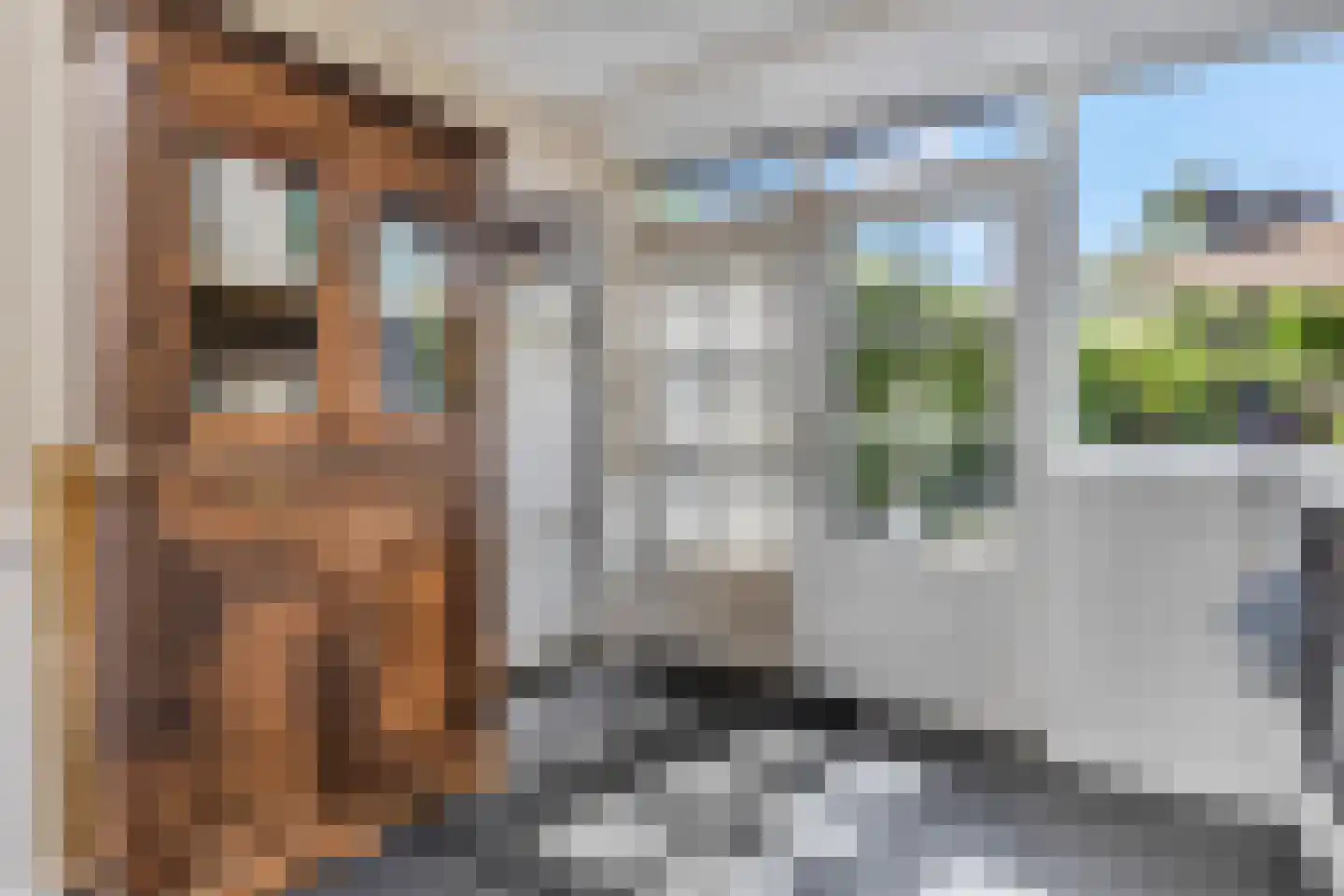 Burgemeester van den Boschstraat 38 Amerongen thumbnail 16