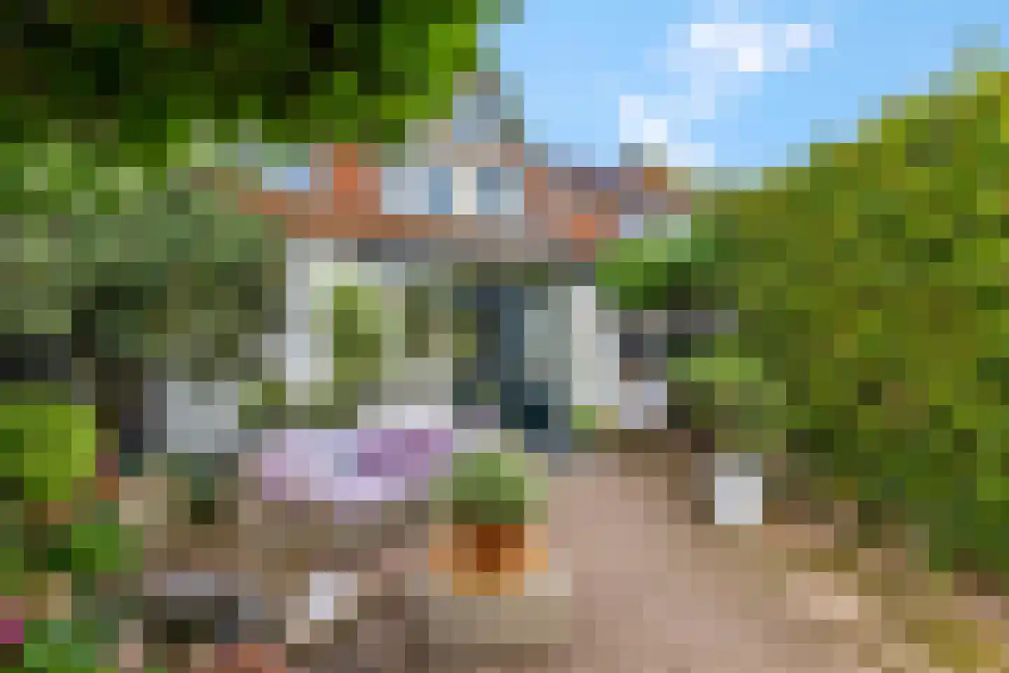 Burgemeester van den Boschstraat 38 Amerongen thumbnail 33